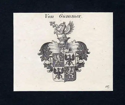 Von Gummer - Gummer Wappen Adel coat of arms Kupferstich  heraldry Heraldik