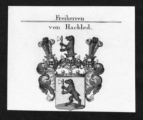 Von Hackled - Hackled Wappen Adel coat of arms Kupferstich  heraldry Heraldik