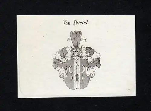 Von Peistel - Peistel Wappen Adel coat of arms Kupferstich  heraldry Heraldik