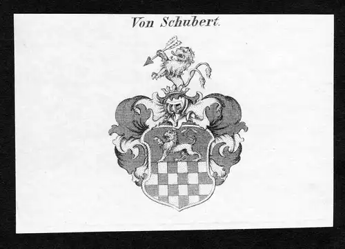 Von Schubert - Schubert Wappen Adel coat of arms Kupferstich  heraldry Heraldik
