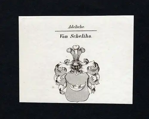 Von Scheliha - Scheliha Wappen Adel coat of arms Kupferstich  heraldry Heraldik
