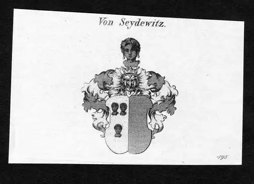 Von Seydewitz - Seydewitz Wappen Adel coat of arms Kupferstich  heraldry Heraldik