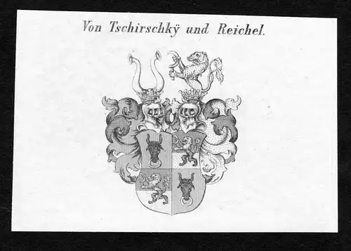 Von Tschirschky und Reichel - Tschirschky und Reichel Tschierschky und Reichel Wappen Adel coat of arms Kupfer