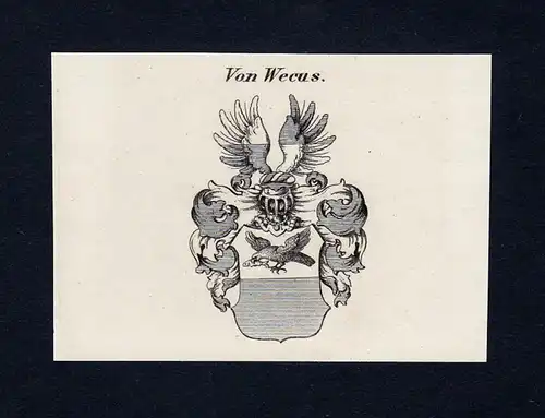 Von Wecus - Wecus Wappen Adel coat of arms Kupferstich  heraldry Heraldik