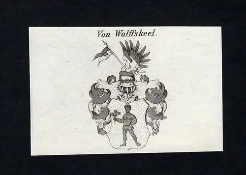 Von Wolffskeel - Wolfskeel Wolffskeel von Reichenberg Wappen Adel coat of arms Kupferstich  heraldry Heraldik