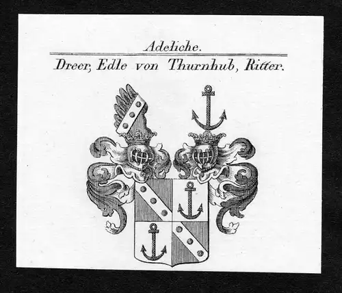 Dreer, Edle von Thurnhub, Ritter - Dreer zu Thurnhub Wappen Adel coat of arms Kupferstich  heraldry Heraldik