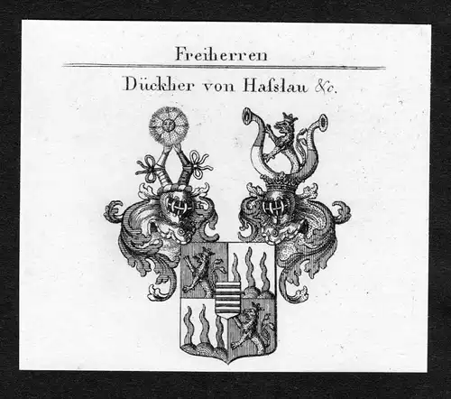 Dückher von Hasslau - Dückher Dueckher von Haßlau Hasslau Wappen Adel coat of arms Kupferstich  heraldry He