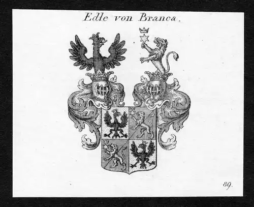 Edle von Branca - Branca Wappen Adel coat of arms Kupferstich  heraldry Heraldik