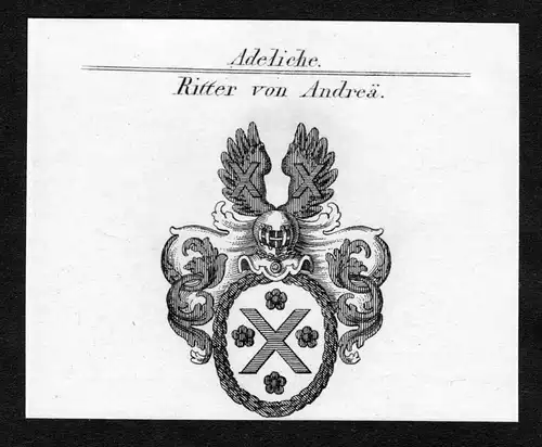 Ritter von Andrea - Andrea Wappen Adel coat of arms Kupferstich  heraldry Heraldik