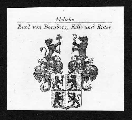 Buol von Bernberg, Edle und Ritter - Buol von Bernberg Buol-Berenberg Wappen Adel coat of arms Kupferstich  he