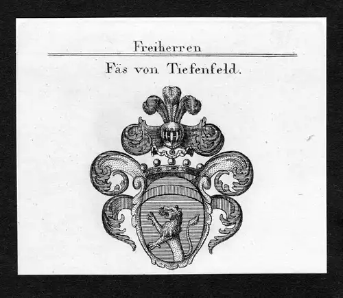 Fäs von Tiefenfeld - Fäs Faes von Tiefenfeld Wappen Adel coat of arms Kupferstich  heraldry Heraldik