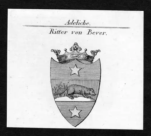 Ritter von Bever - Bever Wappen Adel coat of arms Kupferstich  heraldry Heraldik