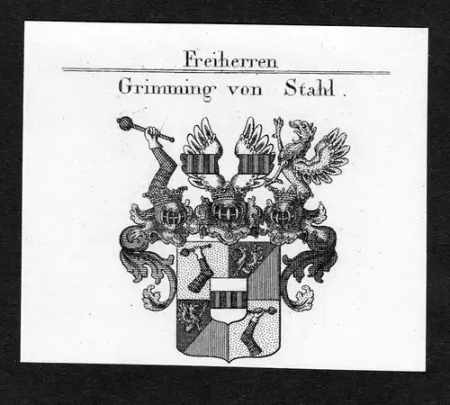 Grimming von Stahl - Grimming Gryming Grüming Grimminger von Stahl Wappen Adel coat of arms Kupferstich  hera