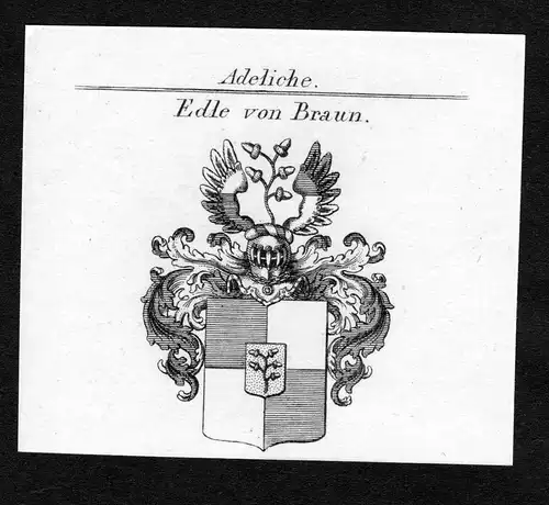 Edle von Braun - Braun Wappen Adel coat of arms Kupferstich  heraldry Heraldik