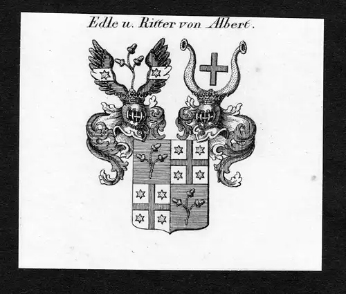 Edle u. Ritter von Albert - Albert Wappen Adel coat of arms Kupferstich  heraldry Heraldik