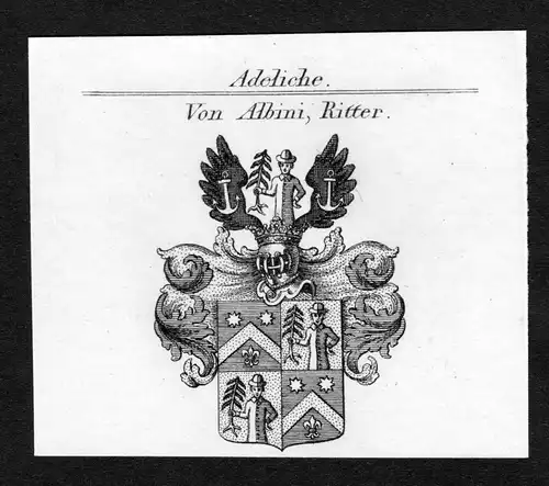 Von Albini, Ritter - Albini Wappen Adel coat of arms Kupferstich  heraldry Heraldik