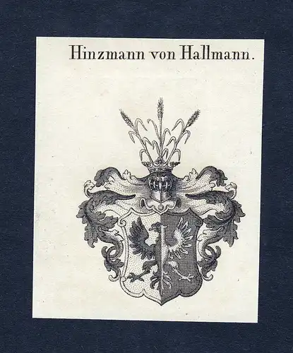 Von Hinzmann von Hallmann - Hinzmann Hallmann Hamrath Wappen Adel coat of arms heraldry Heraldik