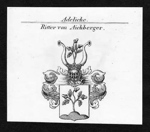Ritter von Aichberger - Aichberger Wappen Adel coat of arms Kupferstich  heraldry Heraldik
