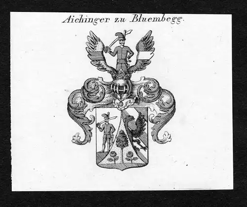 Aichinger zu Bluembegg - Aichinger zu Bluembegg Wappen Adel coat of arms Kupferstich  heraldry Heraldik