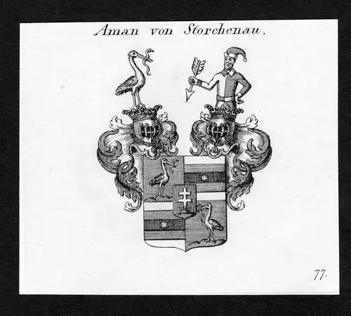 Aman von Storchenau - Aman von Storchenau Wappen Adel coat of arms Kupferstich  heraldry Heraldik