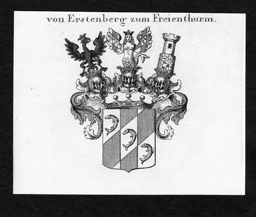 Von Erstenberg zum Freienthurm - Erstenberg zum Freienthurm Wappen Adel coat of arms Kupferstich  heraldry Her