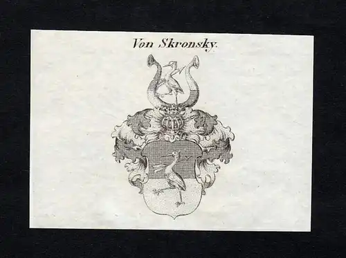 Von Skronsky - Skronsky Wappen Adel coat of arms heraldry Heraldik
