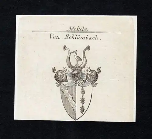 Von Schlümbach - Schlümbach Schlutt Ascholding Wappen Adel coat of arms heraldry Heraldik