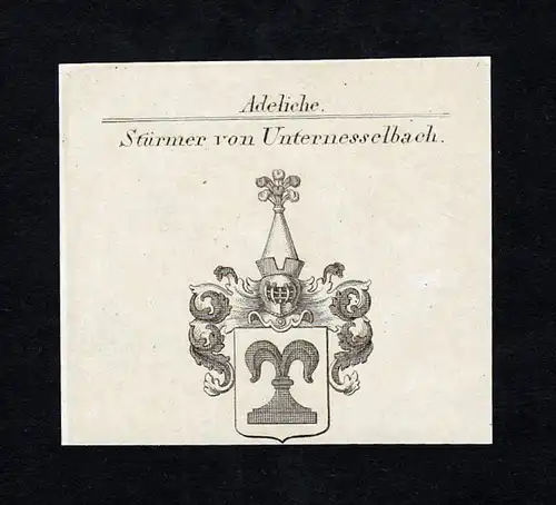 Stürmer von Unternesselbach - Stürzer Stürmer Unternesselbach Wappen Adel coat of arms heraldry Heraldik