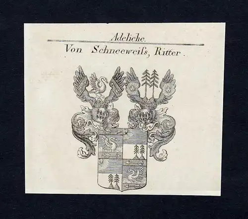 Von Schneeweiss, Ritter - Schneeweiss Wappen Adel coat of arms heraldry Heraldik