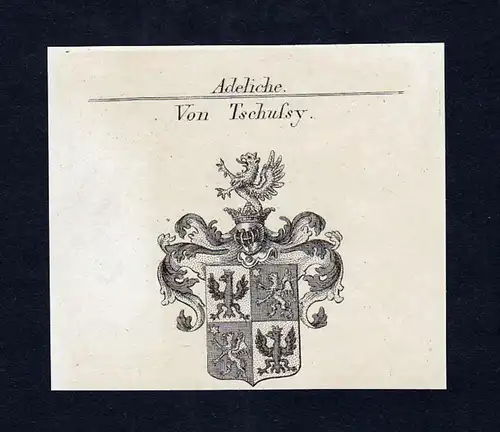 Von Tschussy - Tschussy Wappen Adel coat of arms heraldry Heraldik