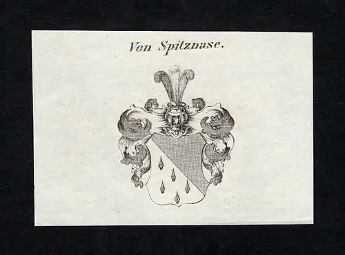 Von Spitznase - Spitznase Esebeck Wappen Adel coat of arms heraldry Heraldik