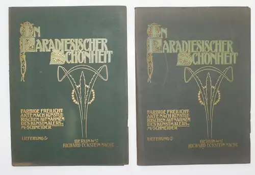 In Paradiesischer Schönheit. Farbige Freilicht-Akte nach künstlerischen Aufnahmendes Kunstmalers M. Schneider.