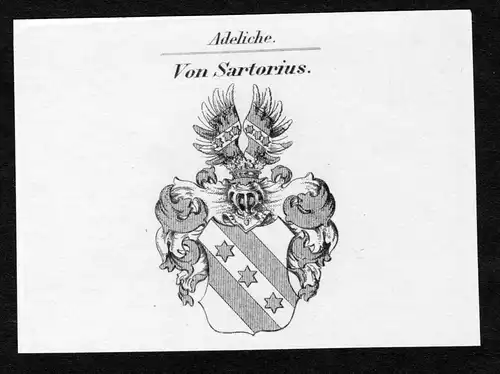 Von Sartorius - Sartorius Wappen Adel coat of arms Kupferstich  heraldry Heraldik