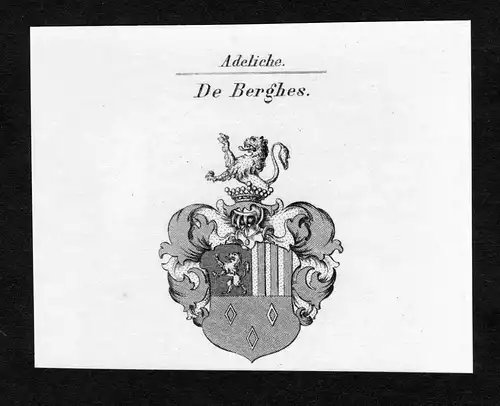 De Berghes - Berghes Wappen Adel coat of arms Kupferstich  heraldry Heraldik
