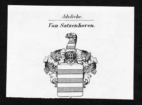 Von Satzenhoven - Sazenhofen Satzenhofen Wappen Adel coat of arms Kupferstich  heraldry Heraldik