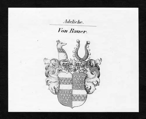 Von Bauer - Bauer Wappen Adel coat of arms Kupferstich  heraldry Heraldik
