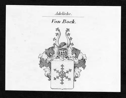 Von Bock - Bock Wappen Adel coat of arms Kupferstich  heraldry Heraldik