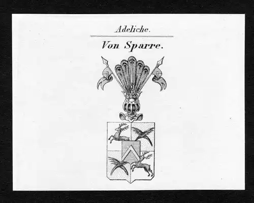 Von Sparre - Sparre Wappen Adel coat of arms Kupferstich  heraldry Heraldik