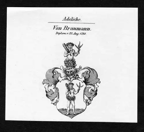 Von Braumann - Braumann Wappen Adel coat of arms Kupferstich  heraldry Heraldik