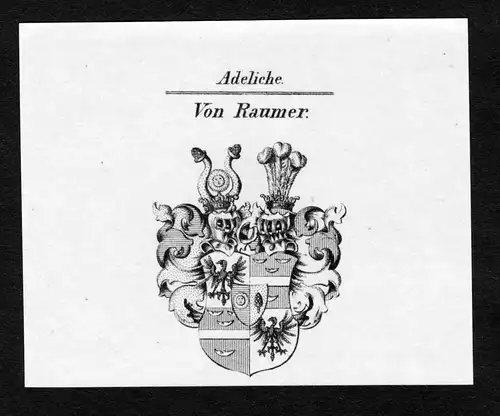 Von Raumer - Raumer Wappen Adel coat of arms Kupferstich  heraldry Heraldik