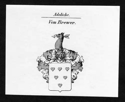 Von Brewer - Brewer Wappen Adel coat of arms Kupferstich  heraldry Heraldik