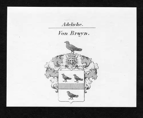 Von Bruyn - Bruyn Wappen Adel coat of arms Kupferstich  heraldry Heraldik