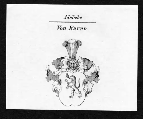 Von Raven - Raven Wappen Adel coat of arms Kupferstich  heraldry Heraldik