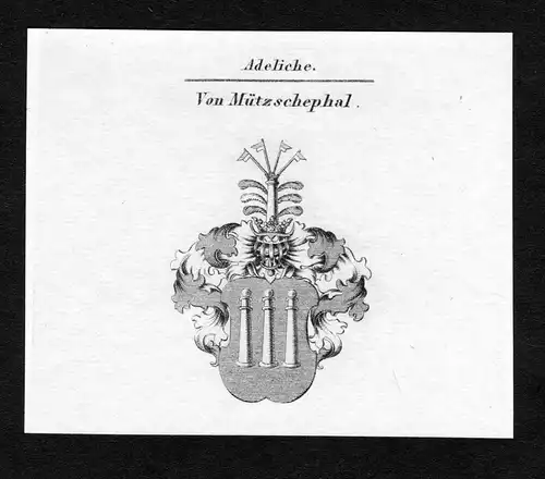 Von Mützschephal - Mützschephal Muetzschephal Wappen Adel coat of arms Kupferstich  heraldry Heraldik