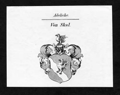 Von Skal - Skal Wappen Adel coat of arms Kupferstich  heraldry Heraldik