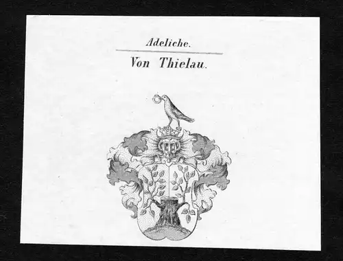 Von Thielau - Thielau Wappen Adel coat of arms Kupferstich  heraldry Heraldik