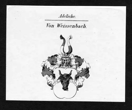 Von Weissenbach - Weißenbach Weissenbach Wizzenbach Weißbach Weyssenbach Wappen Adel coat of arms Kupferstic