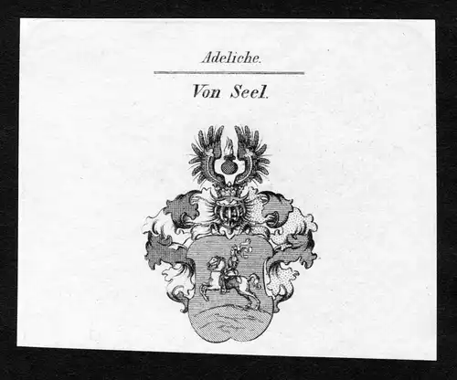 Von Seel - Seel Wappen Adel coat of arms Kupferstich  heraldry Heraldik