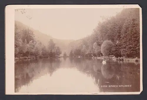 Baden Waldsee.