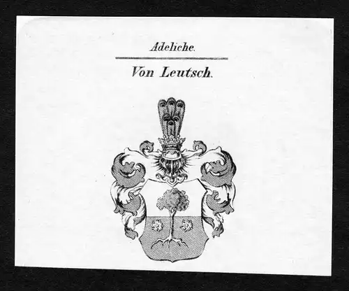 Von Leutsch - Leutsch Luszh Lus Lutzsch Leitzsch Lewtzsch Leuitzsch Leuitsch Wappen Adel coat of arms Kupferst